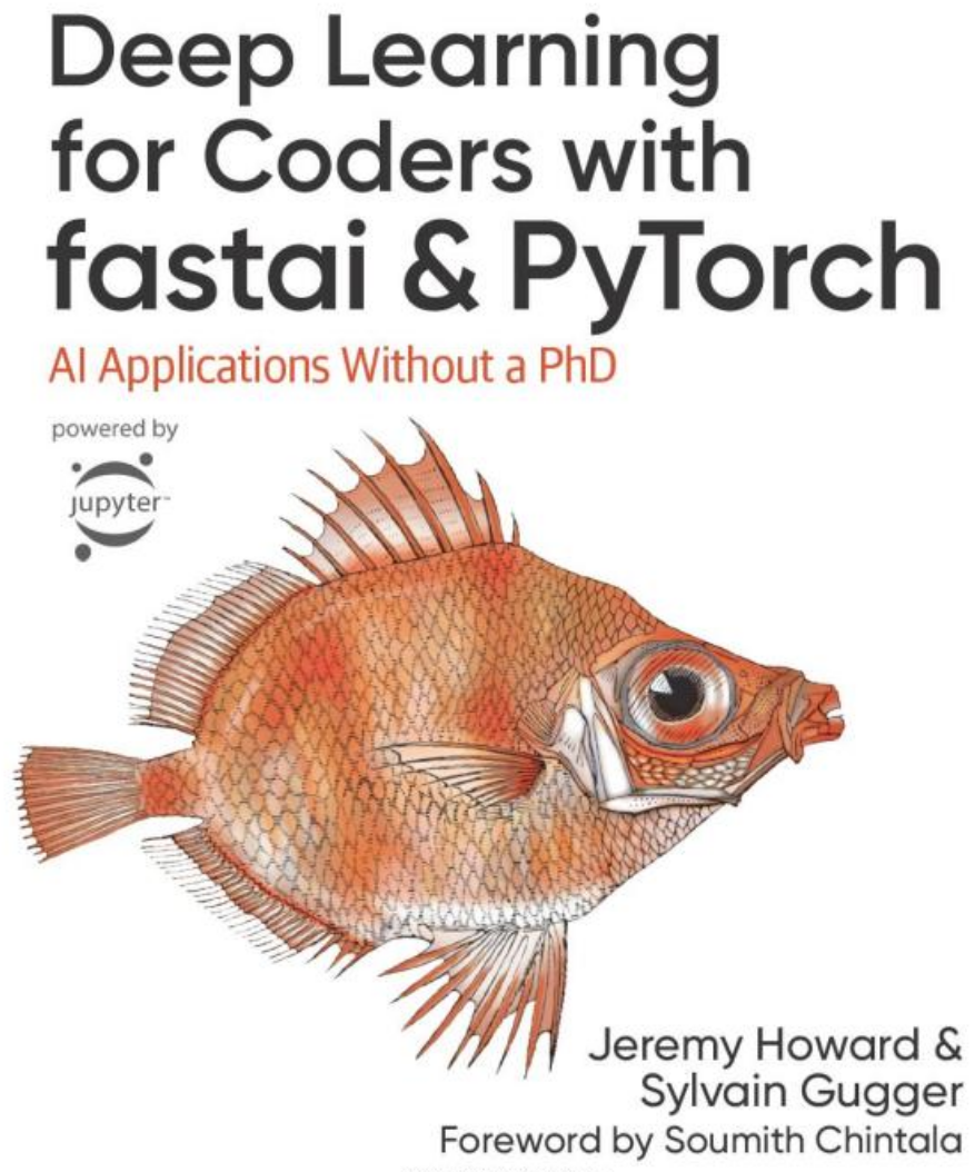 Fastai pytorch cheap